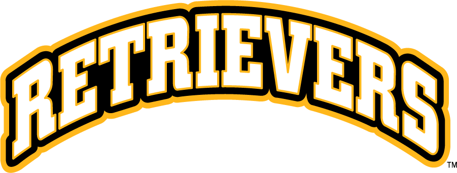 UMBC Retrievers 2010-Pres Wordmark Logo v4 diy iron on heat transfer